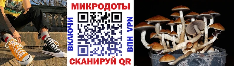 дарк нет телеграм hydra зеркало Старый Оскол Галлюциногенные грибы ЛСД